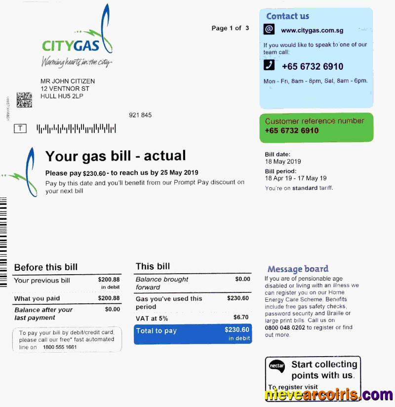 Singapore City Gas utility bill